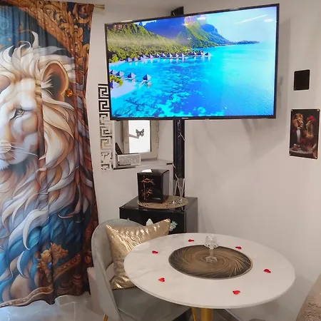 Lion - & Bed and Breakfast